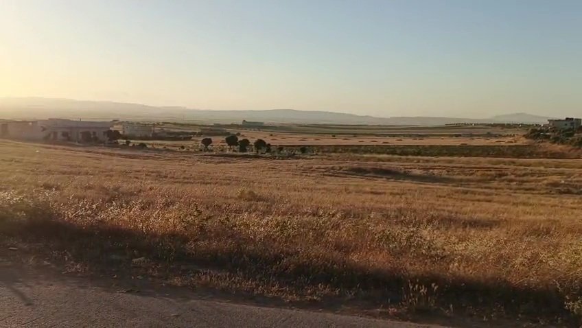 أرض للبيع في إدلب – معارة النعسان