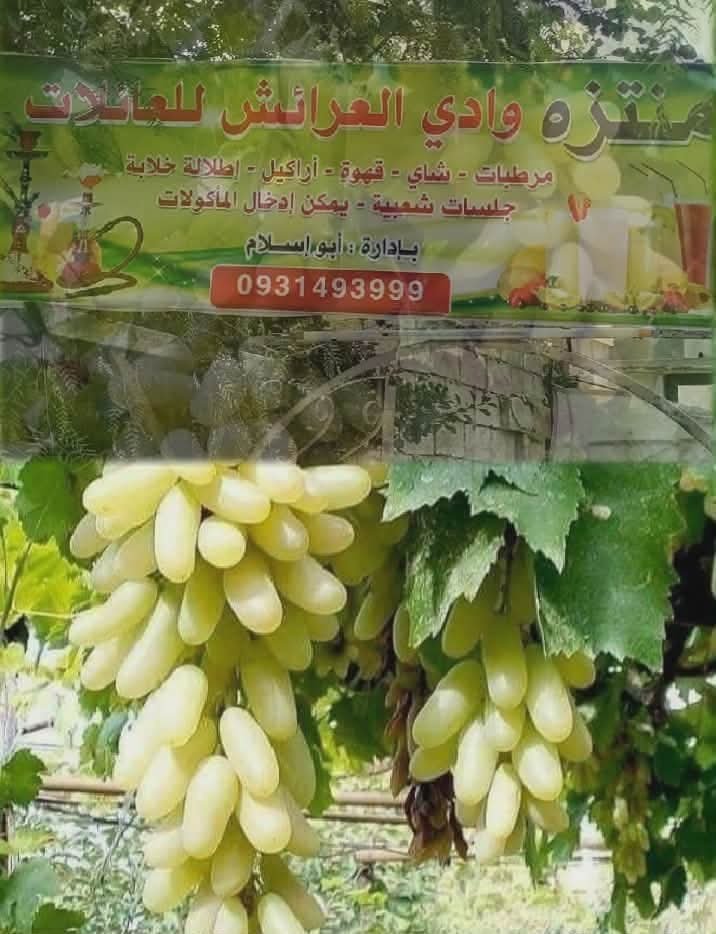 منتزه عين الفيجة وادي بردى