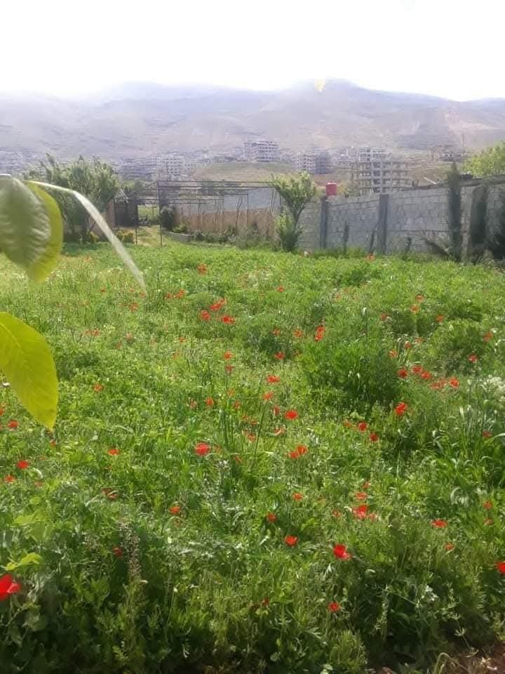 IMG-20260623-WA0006