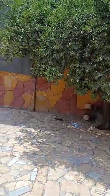 VideoCapture_20260701-160526